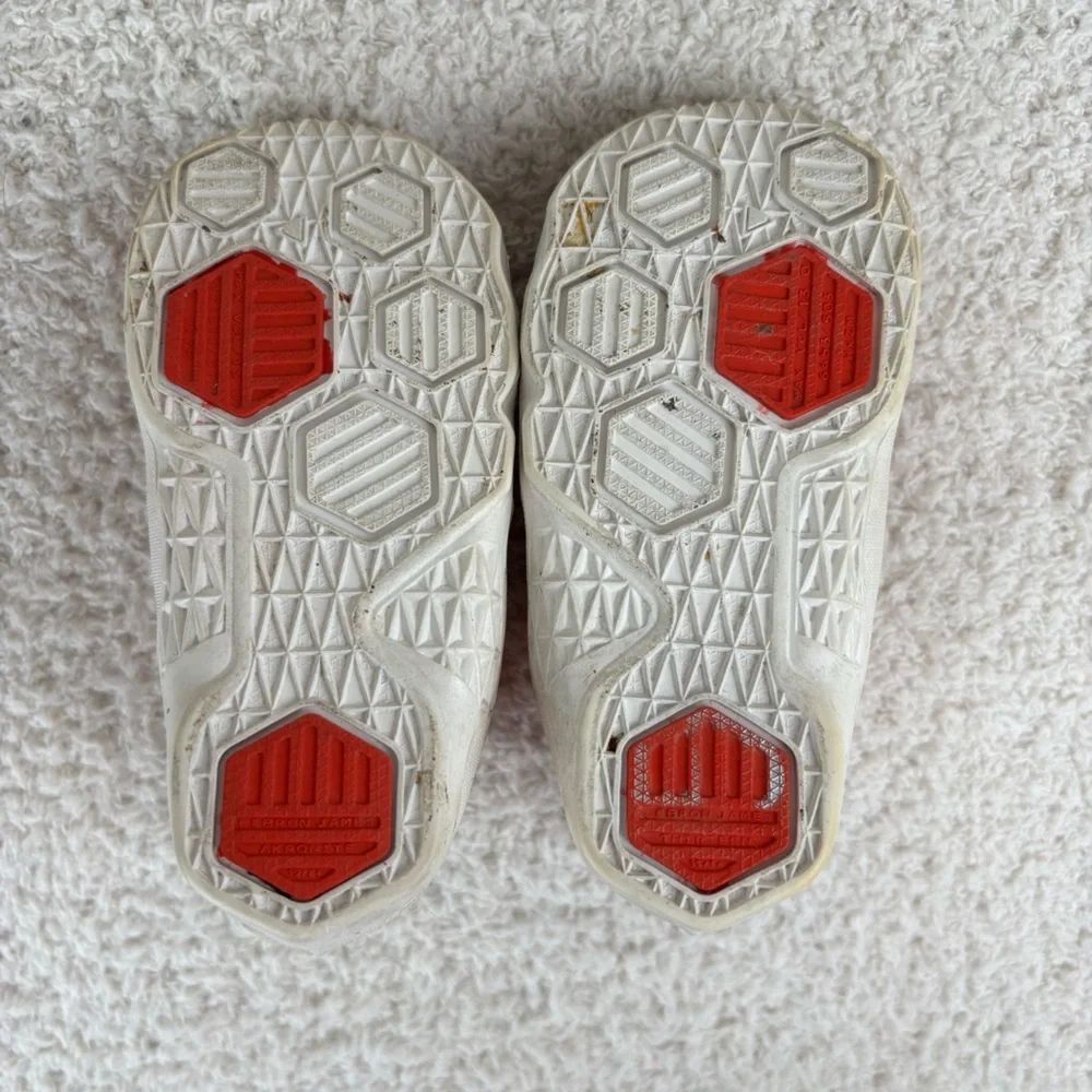 Nike lebron shoes